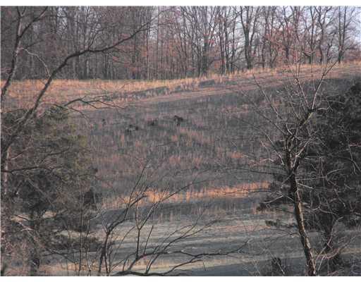 107 Hickory Lane Rural Valley, PA 16249 - Photo 10 of 10 Land.
