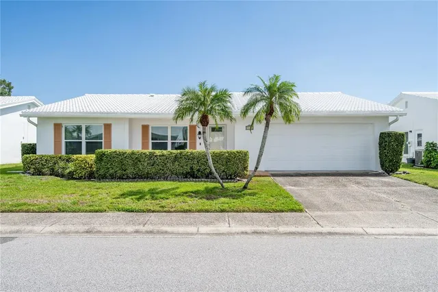a palm tree sitting in front of a house