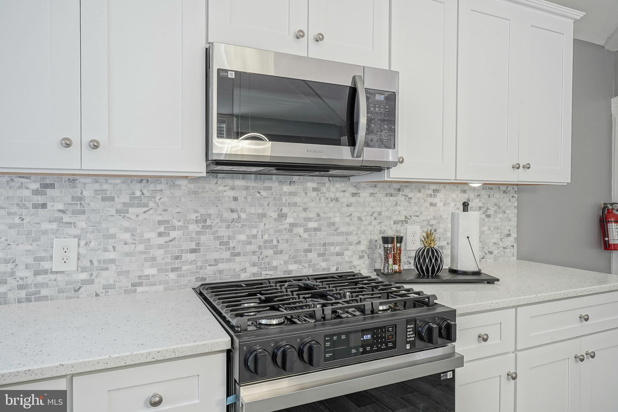 102 Thompson Street Burlington, NJ 08016 - Photo 7 of 36 SAMSUNG Gas Stove and Built in Microwave