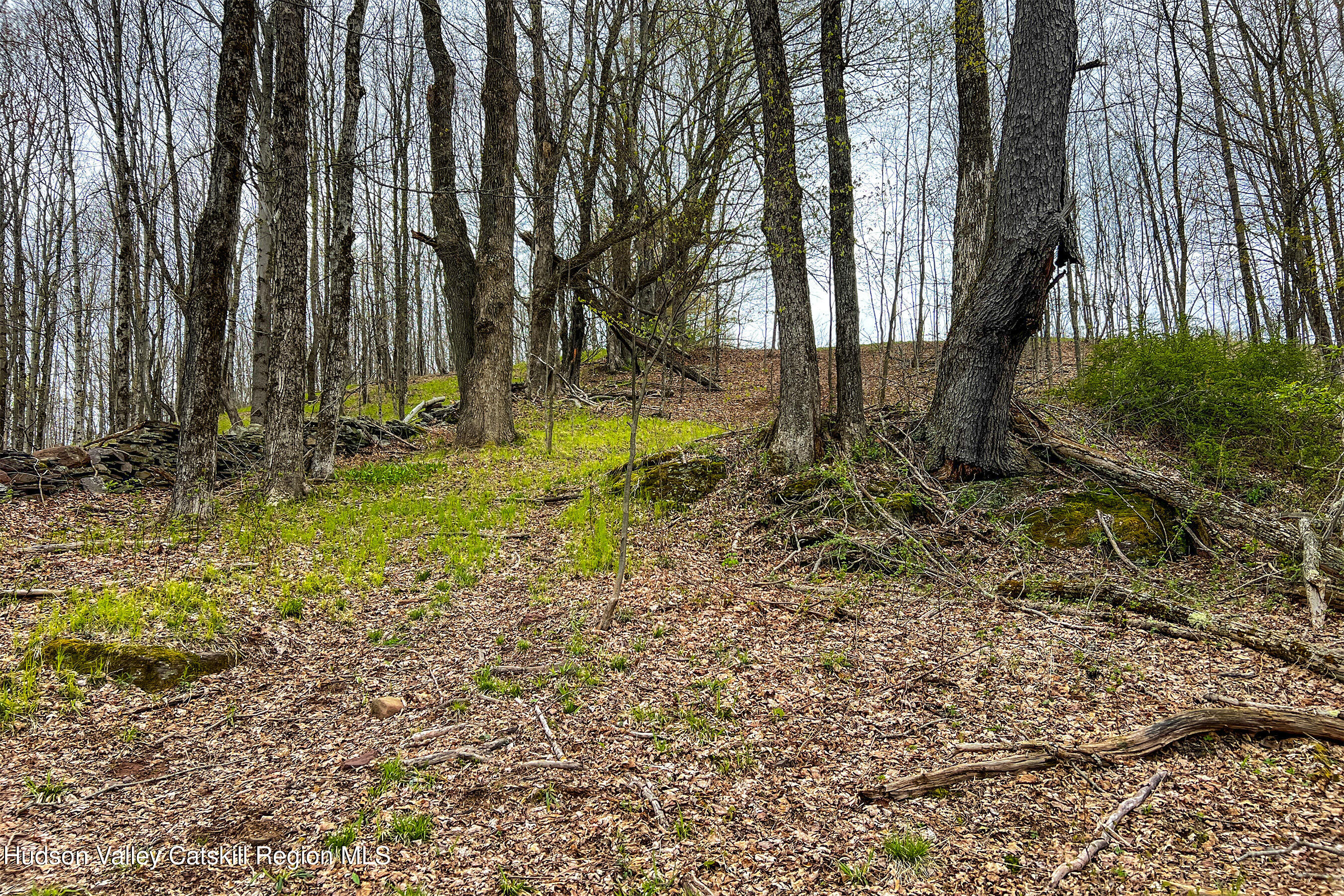 0 Brownell Road Bloomville, NY 13739 - Photo 24 of 39 23 acres Brownell Rd -- 022