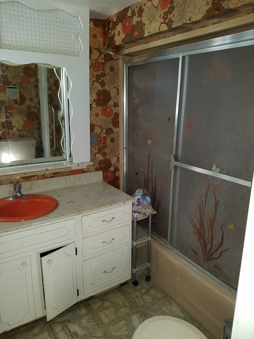 426 North 11th Street Rochelle, IL 61068 - Photo 16 of 18 a bathroom with a sink and mirror