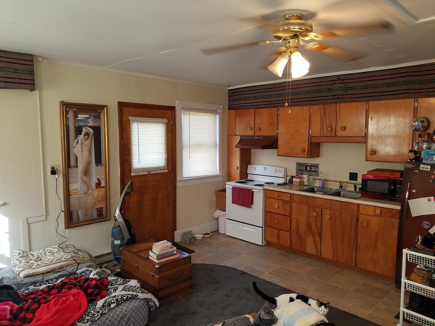 426 North 11th Street Rochelle, IL 61068 - Photo 6 of 18 a living room with furniture and a window