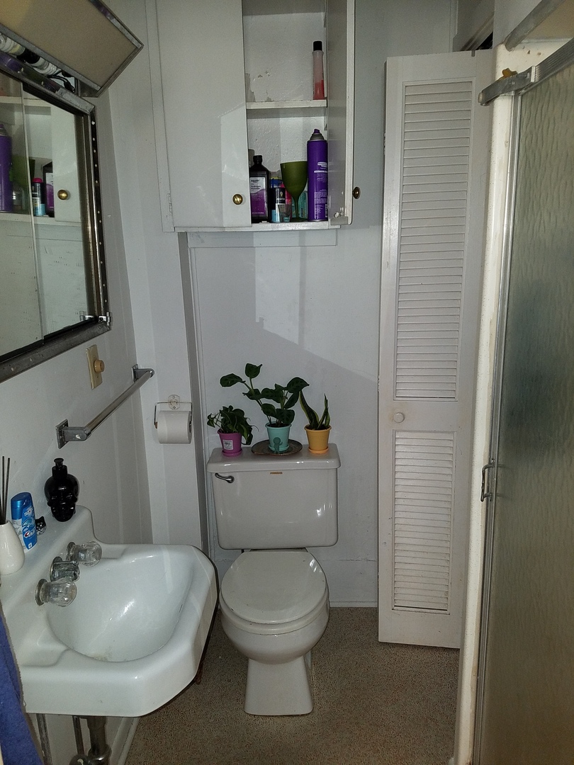 426 North 11th Street Rochelle, IL 61068 - Photo 7 of 18 a bathroom with a sink a toilet and shower curtain