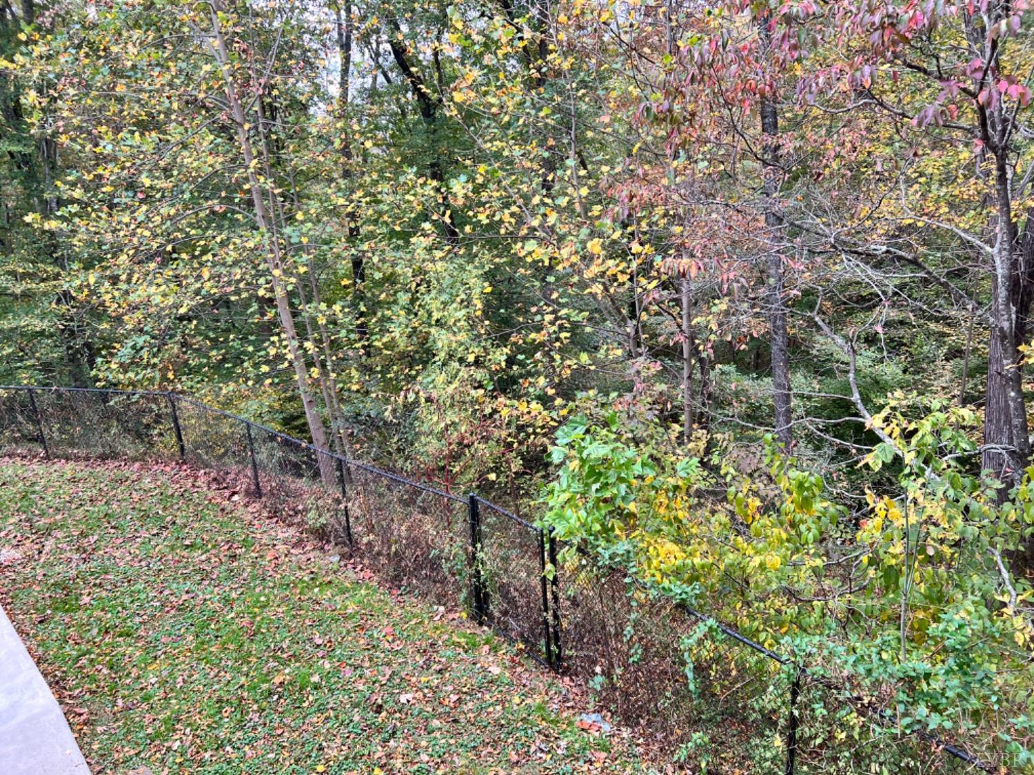 108 River Road Altavista, VA 24517 - Photo 41 of 43 Gallery Image 41