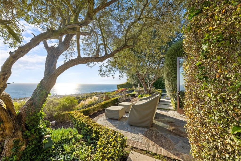 16 Shore Walk Newport Coast, CA 92657 - Photo 34 of 75 a view of a backyard with plants