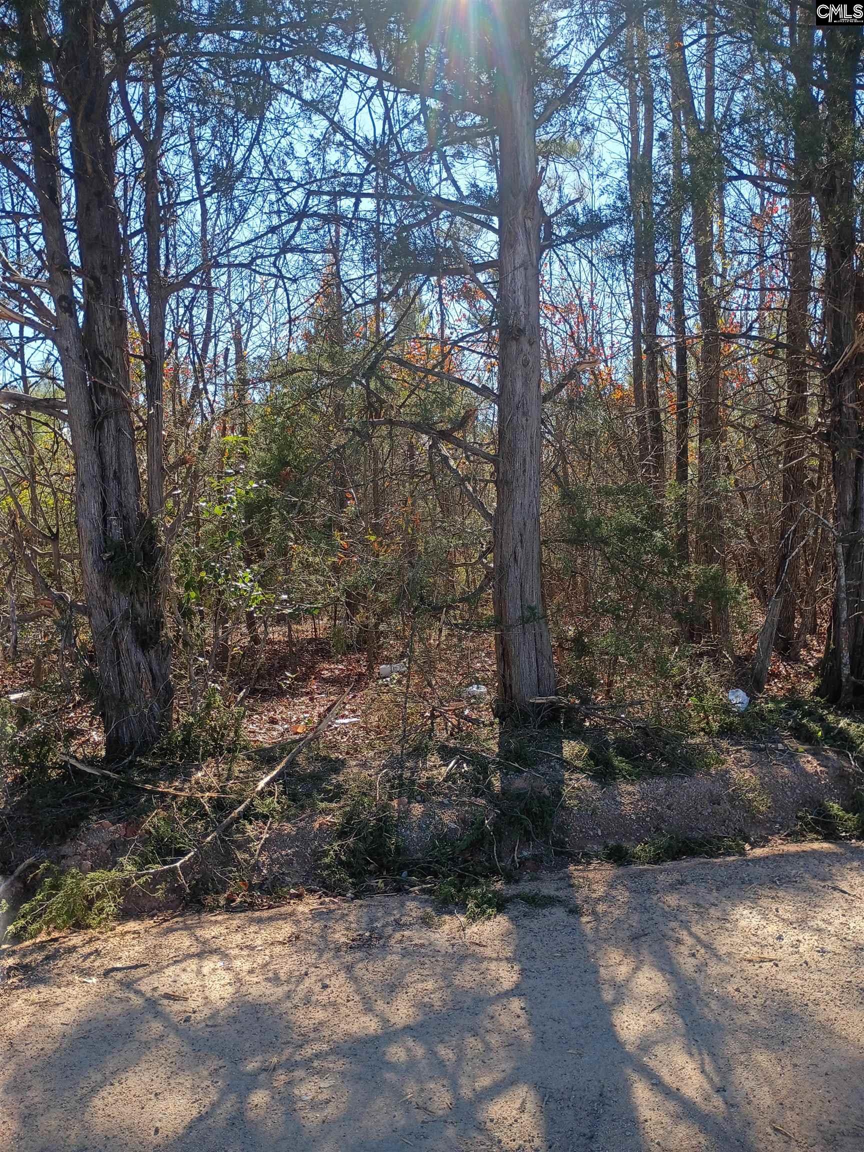 1163 June Berry Road Camden, SC 29020 - Photo 5 of 20