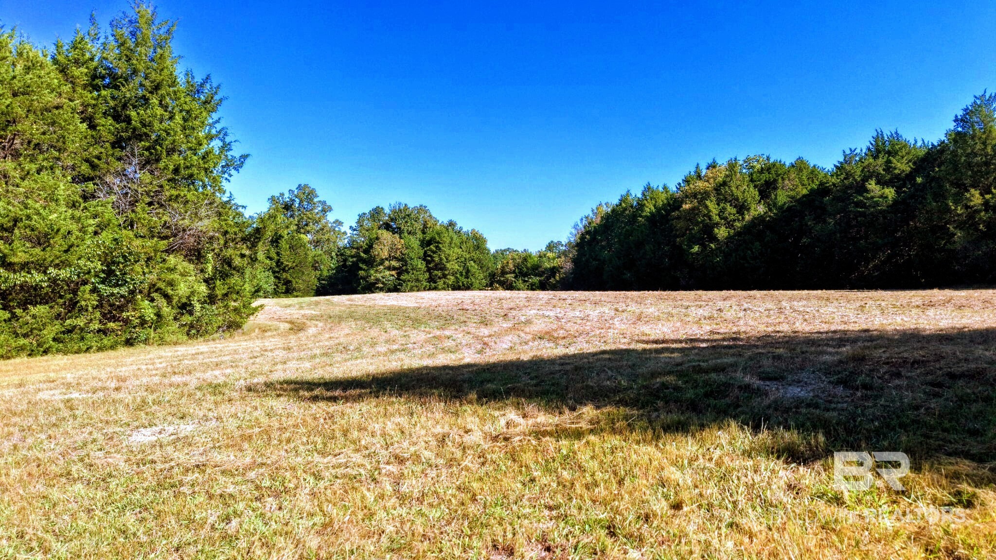 0 Highway 17 Millry, AL 36558 - Photo 34 of 73 Gallery Image 34