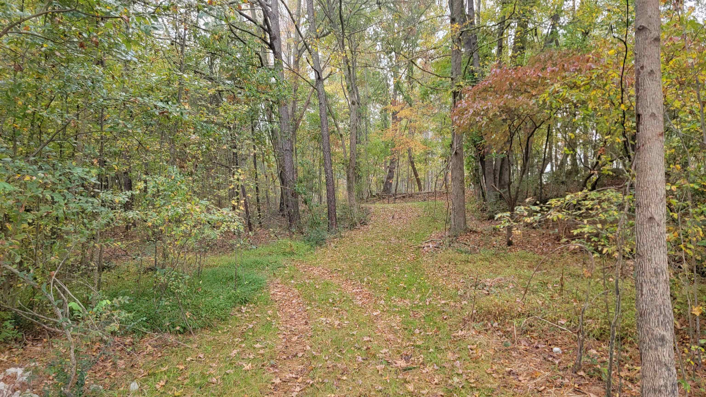 1500 Old Watkins Road Raleigh, NC 27616 - Photo 9 of 21 Photo 9