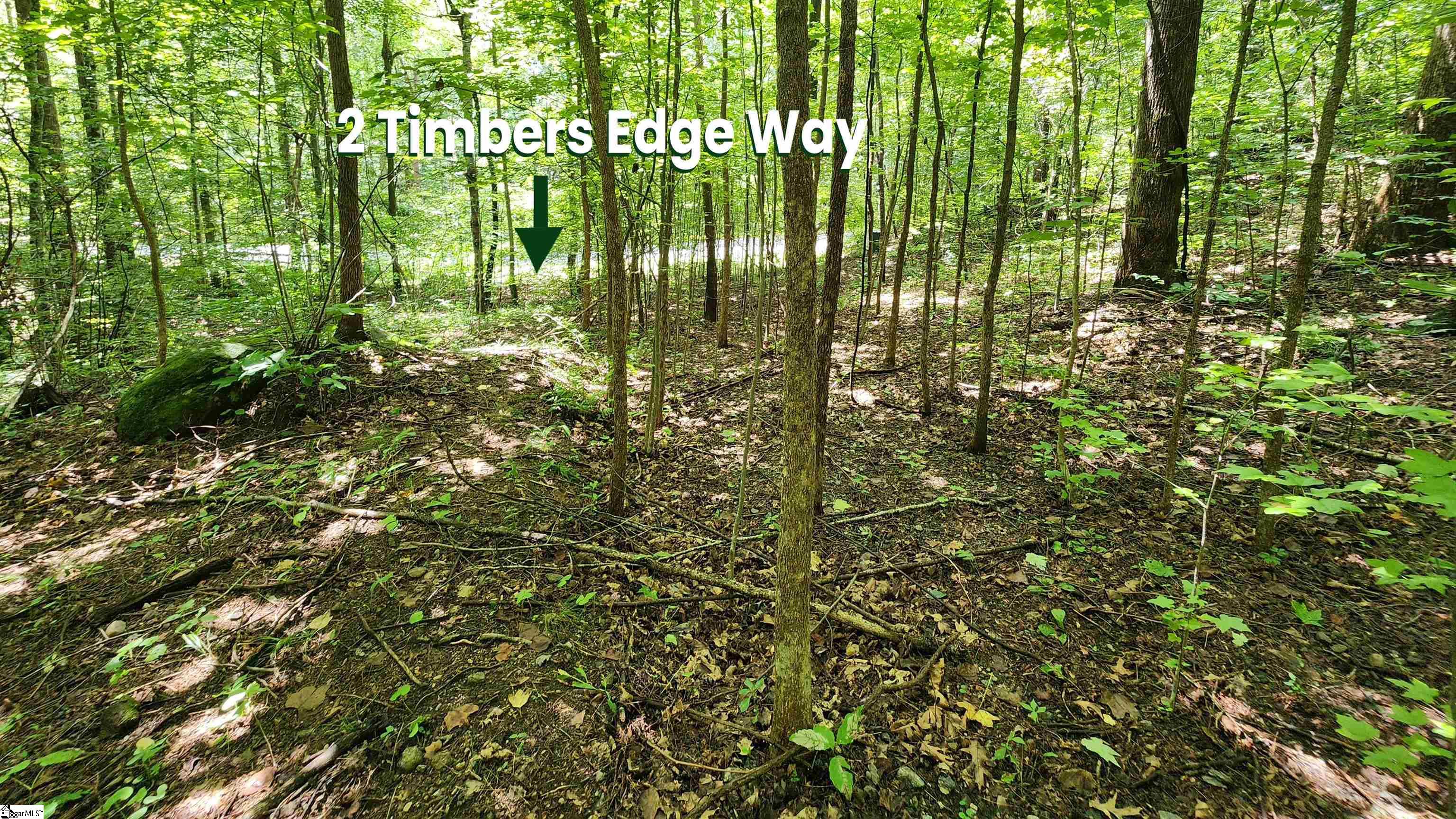 2 Timbers Edge Way Travelers Rest, SC 29690 - Photo 14 of 34