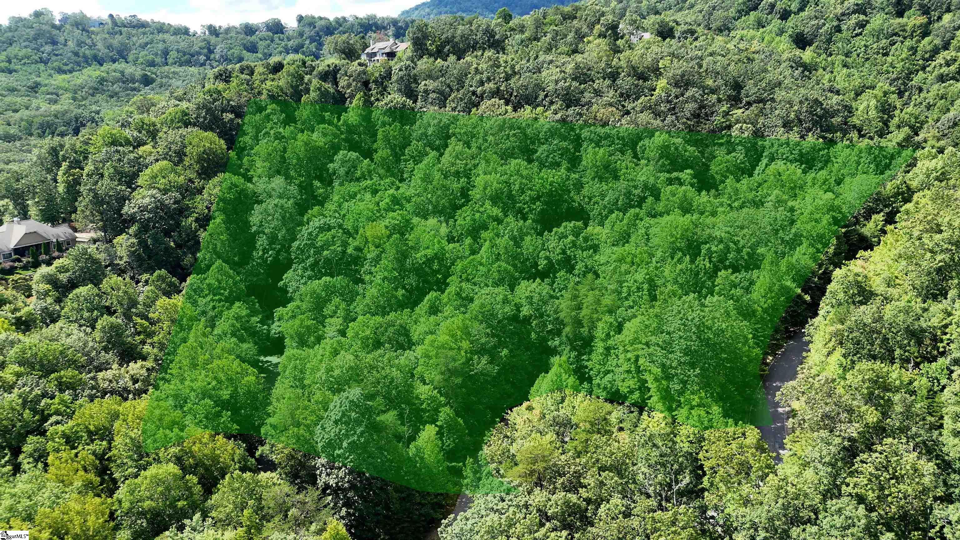 2 Timbers Edge Way Travelers Rest, SC 29690 - Photo 3 of 34