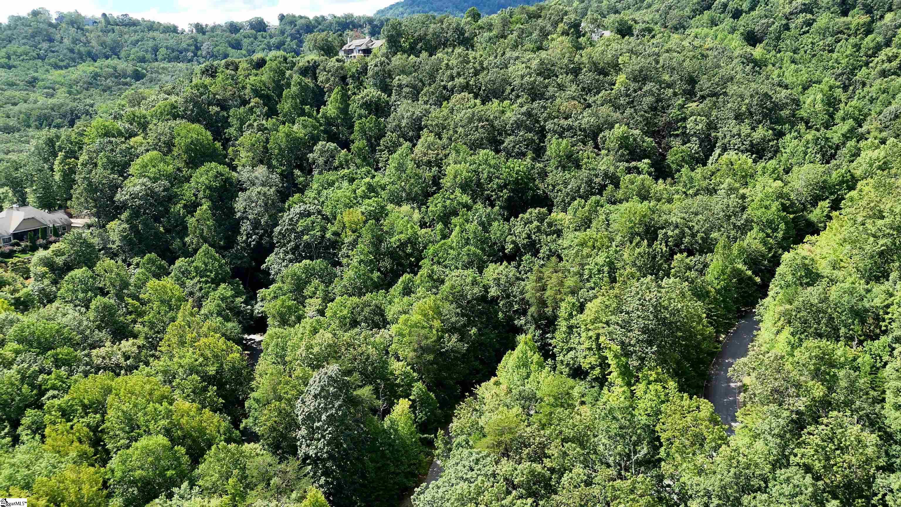 2 Timbers Edge Way Travelers Rest, SC 29690 - Photo 4 of 34