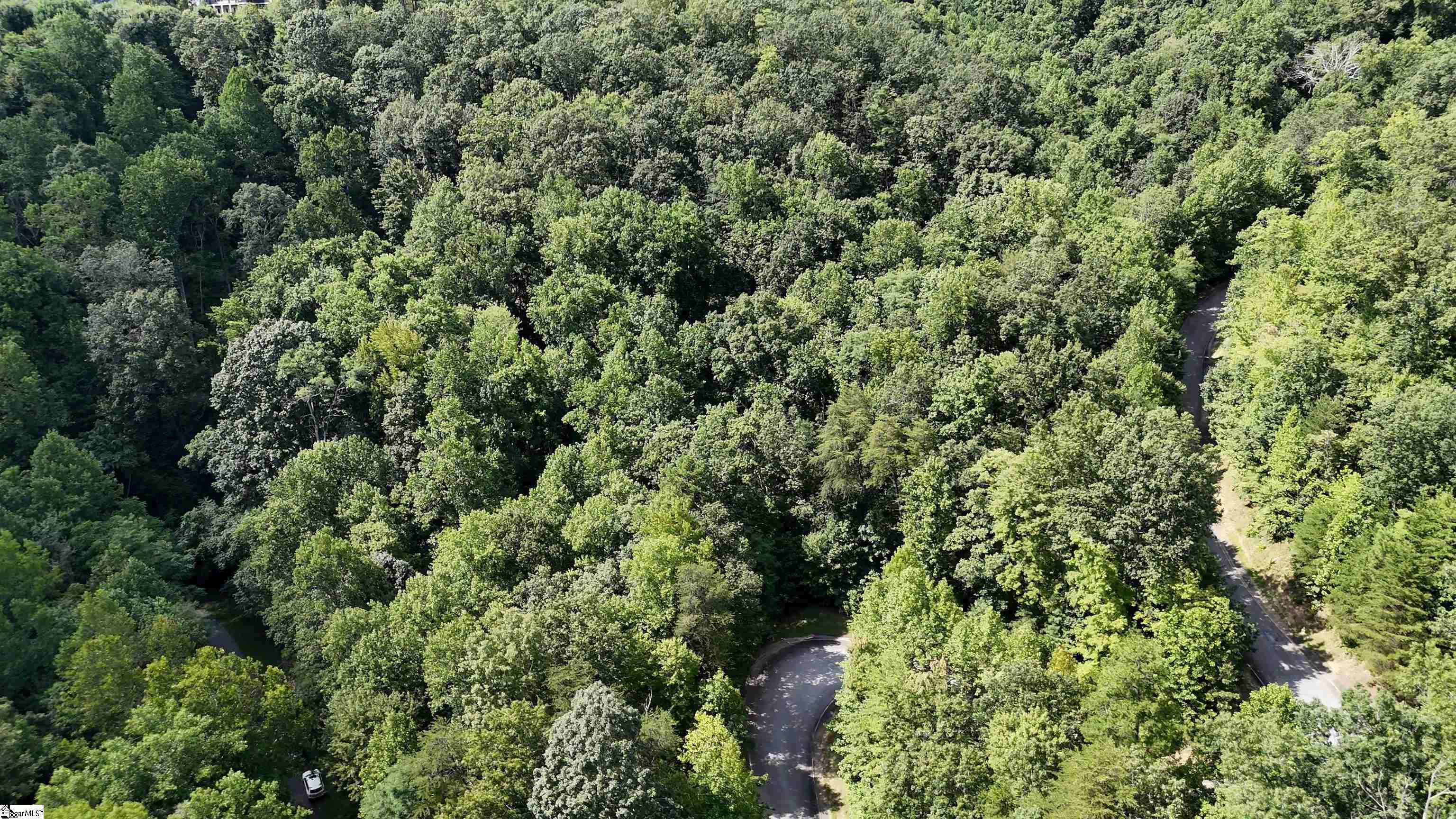 2 Timbers Edge Way Travelers Rest, SC 29690 - Photo 7 of 34