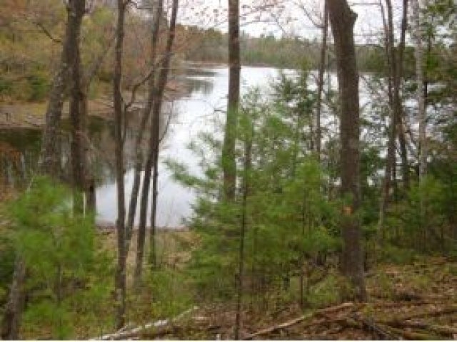 Lot 9 Lumen Lake Rd Lake Hazelhurst, WI 54531 - Photo 5 of 7 Gallery Image 5