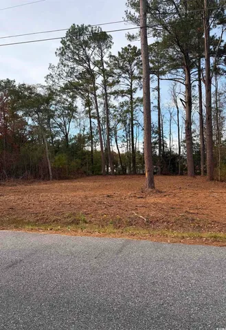 $24,800 | 283 Byrnes Circle, Johnsonville, SC 29555