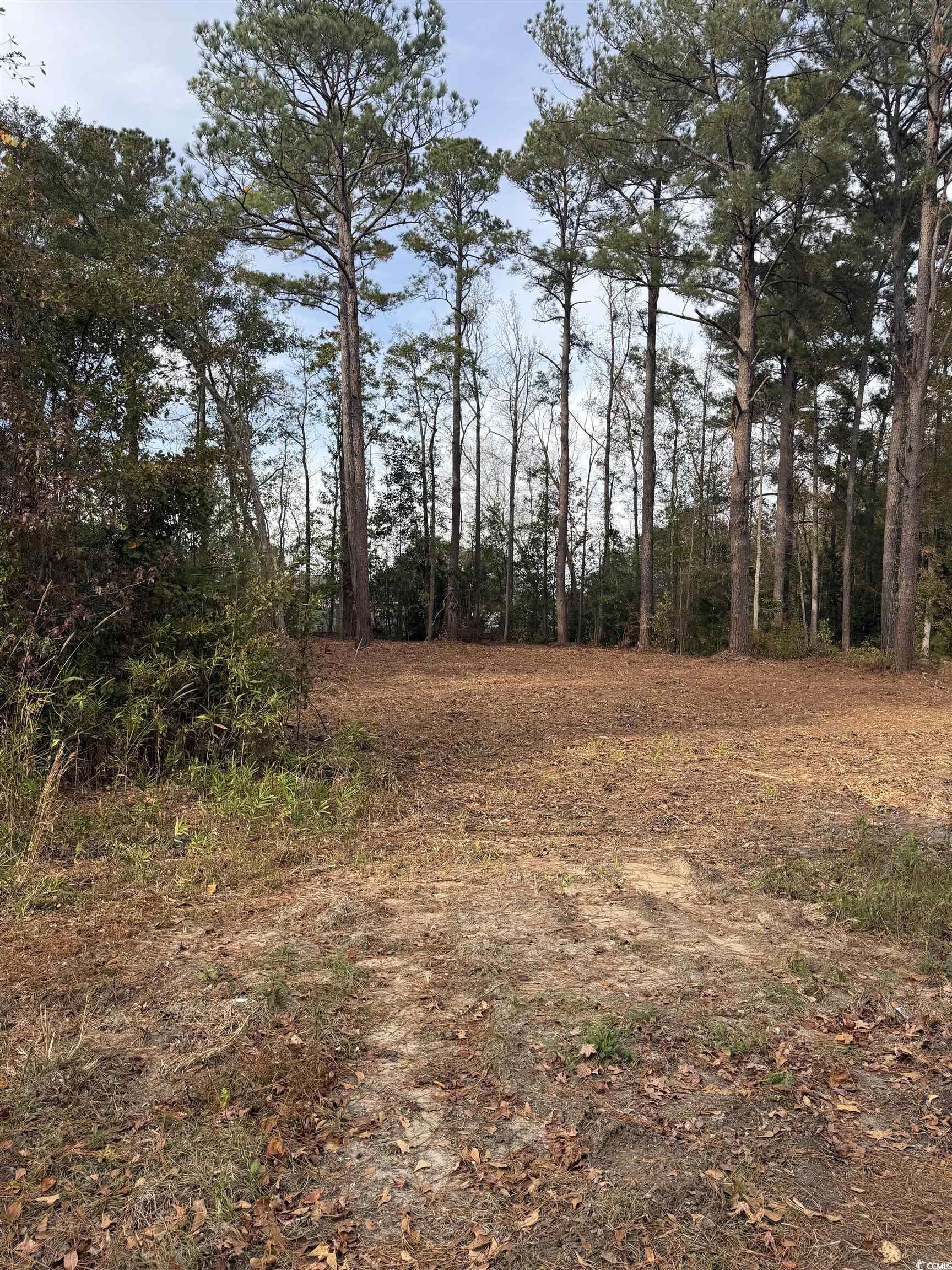 283 Byrnes Circle Johnsonville, SC 29555 - Photo 2 of 2 View of local wilderness