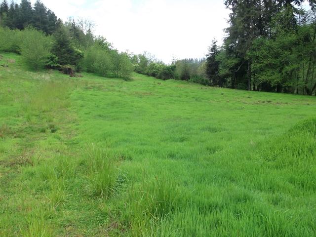 Tl#101 East Beaver Creek Road Beaver, OR 97112 - Photo 3 of 13 002