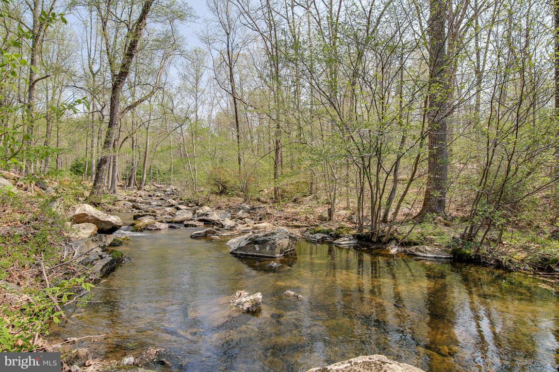 54 Mill Hill Road Huntly, VA 22640 - Photo 24 of 30 Creek on a lazier day