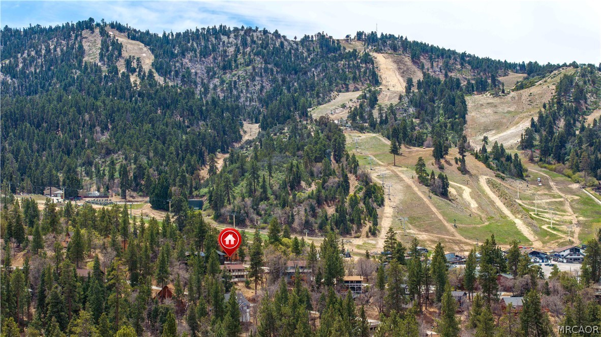 43315 Shasta Road Big Bear Lake, CA 92315 - Photo 4 of 32
