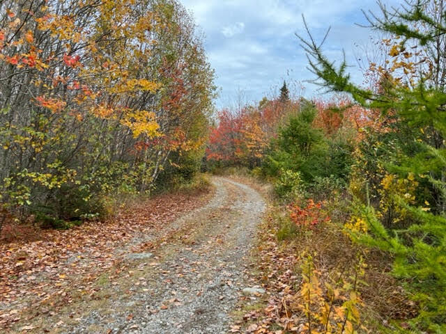 Lot 27-27 Lively Brook Road Lubec, ME 04652 - Photo 6 of 11 unnamed