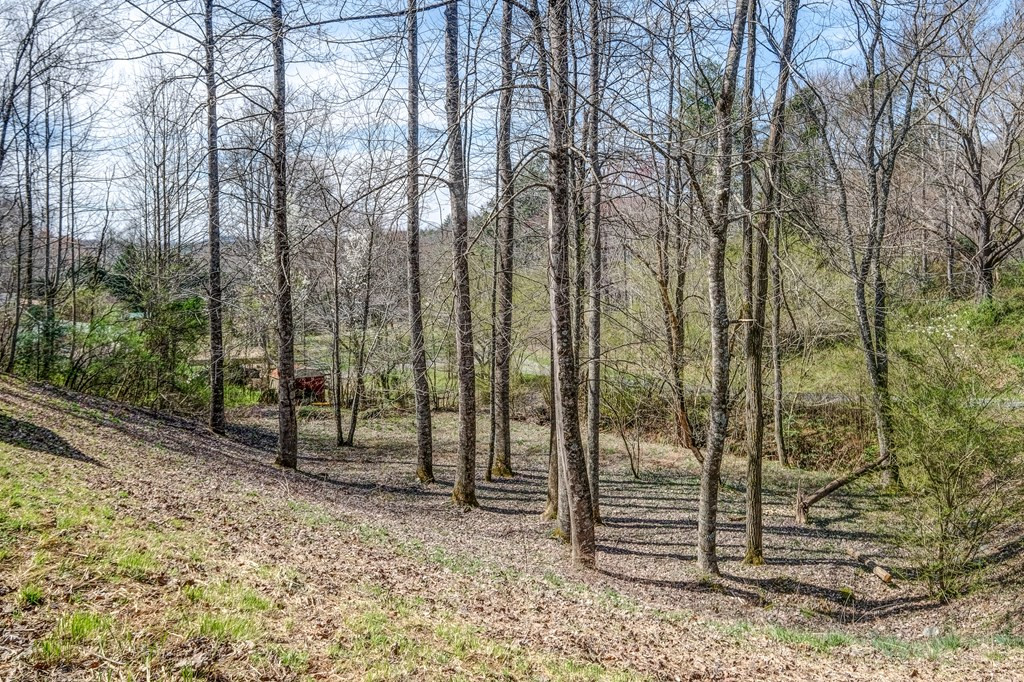 844 Canyon Road Marble, NC 28905 - Photo 56 of 61 Gallery Image 56