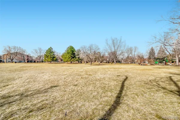 a view of outdoor space with playground and tree