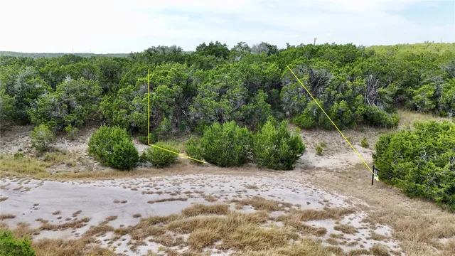 a view of a park with plants and a wooden fence