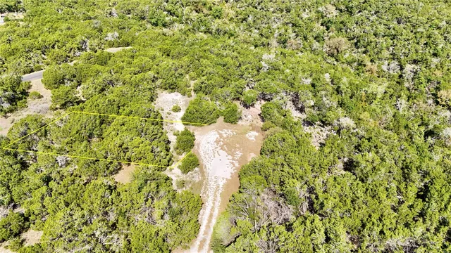 a view of a yard with a plant