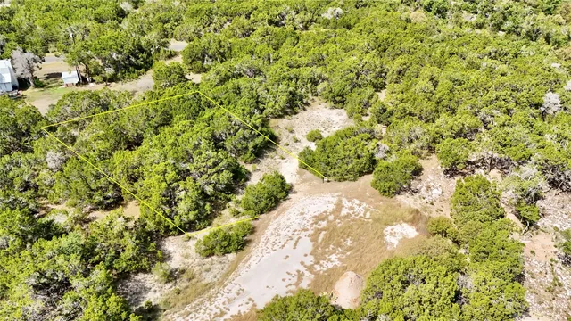 a view of a yard with a plant