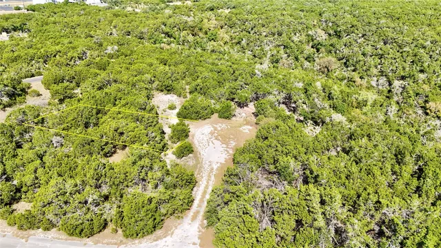 a close up of a plant