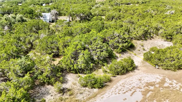a view of a large yard with lots of plants
