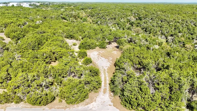 a view of a yard with plants