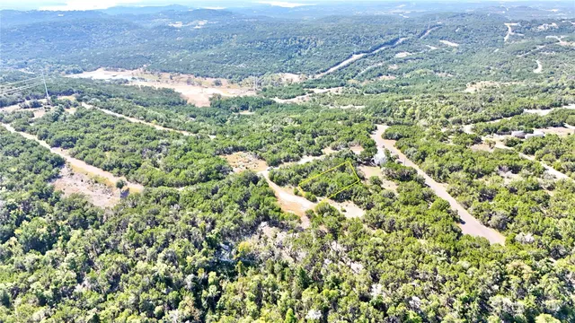 a view of a big yard with plants and large trees