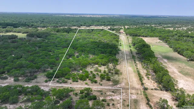 a view of a city with lush green forest