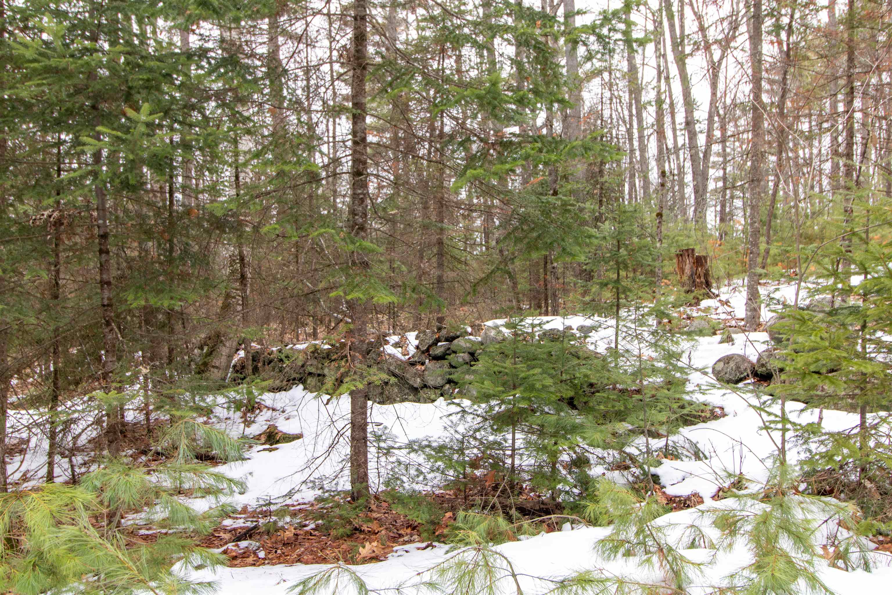 184 Stark Trail Newbury, VT 05081 - Photo 37 of 47