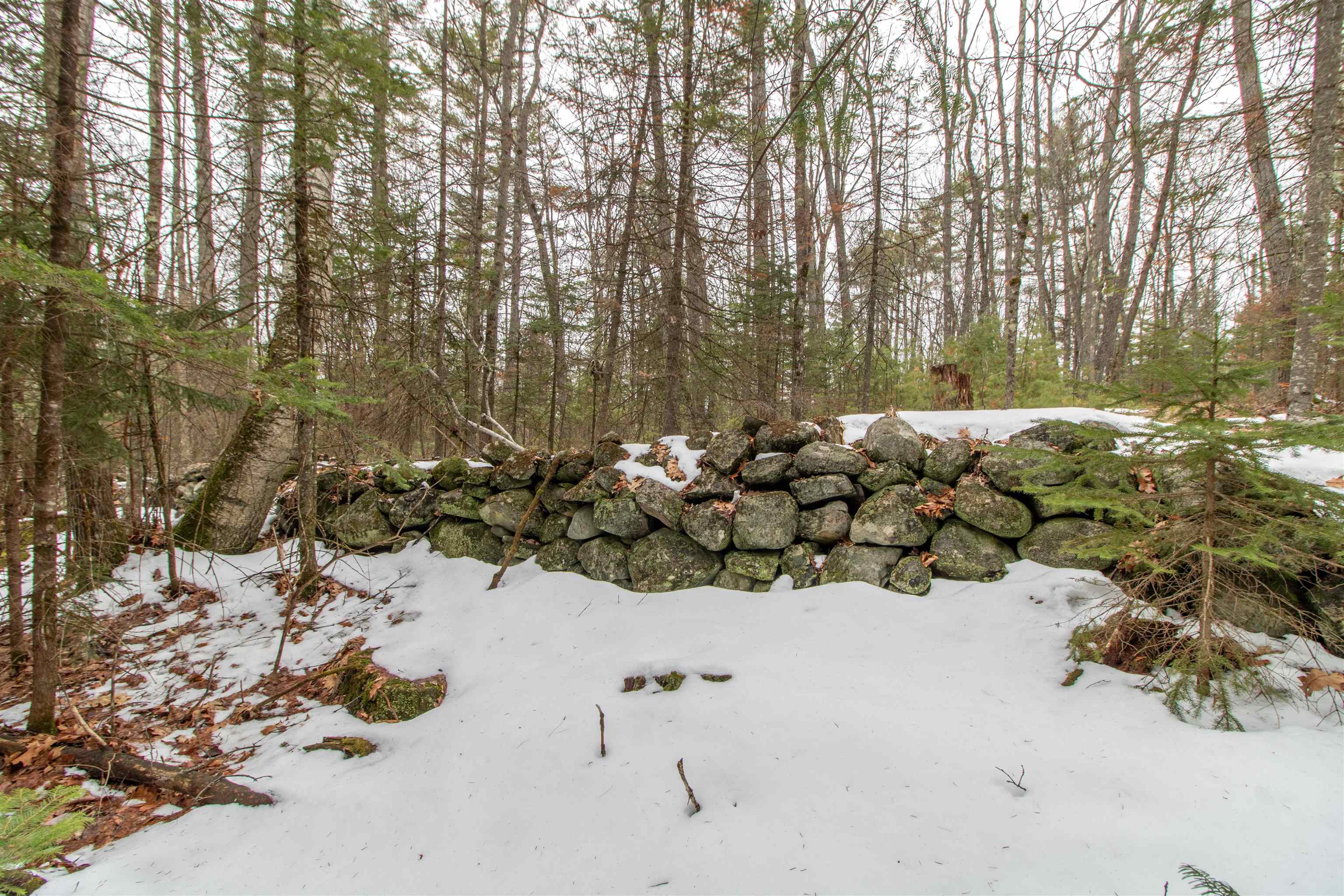 184 Stark Trail Newbury, VT 05081 - Photo 38 of 47