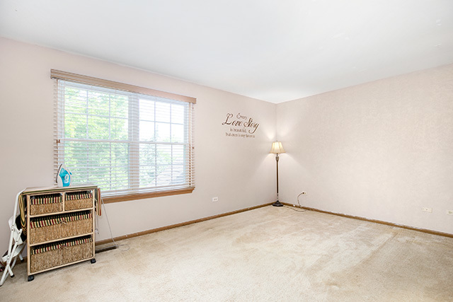 233 East Shag Bark Lane Streamwood, IL 60107 - Photo 12 of 28