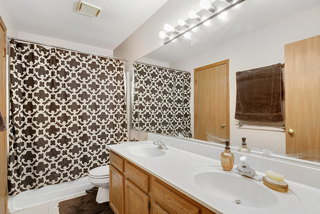 233 East Shag Bark Lane Streamwood, IL 60107 - Photo 14 of 28