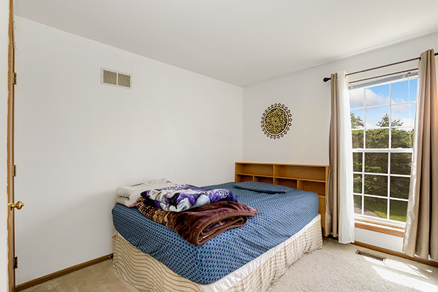 233 East Shag Bark Lane Streamwood, IL 60107 - Photo 17 of 28