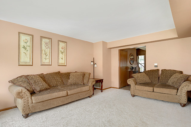 233 East Shag Bark Lane Streamwood, IL 60107 - Photo 5 of 28