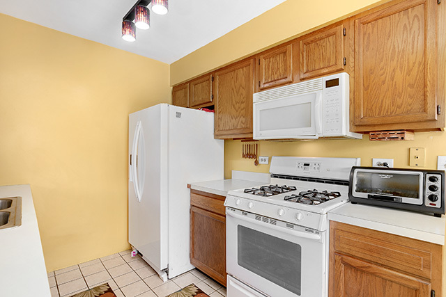 233 East Shag Bark Lane Streamwood, IL 60107 - Photo 10 of 28