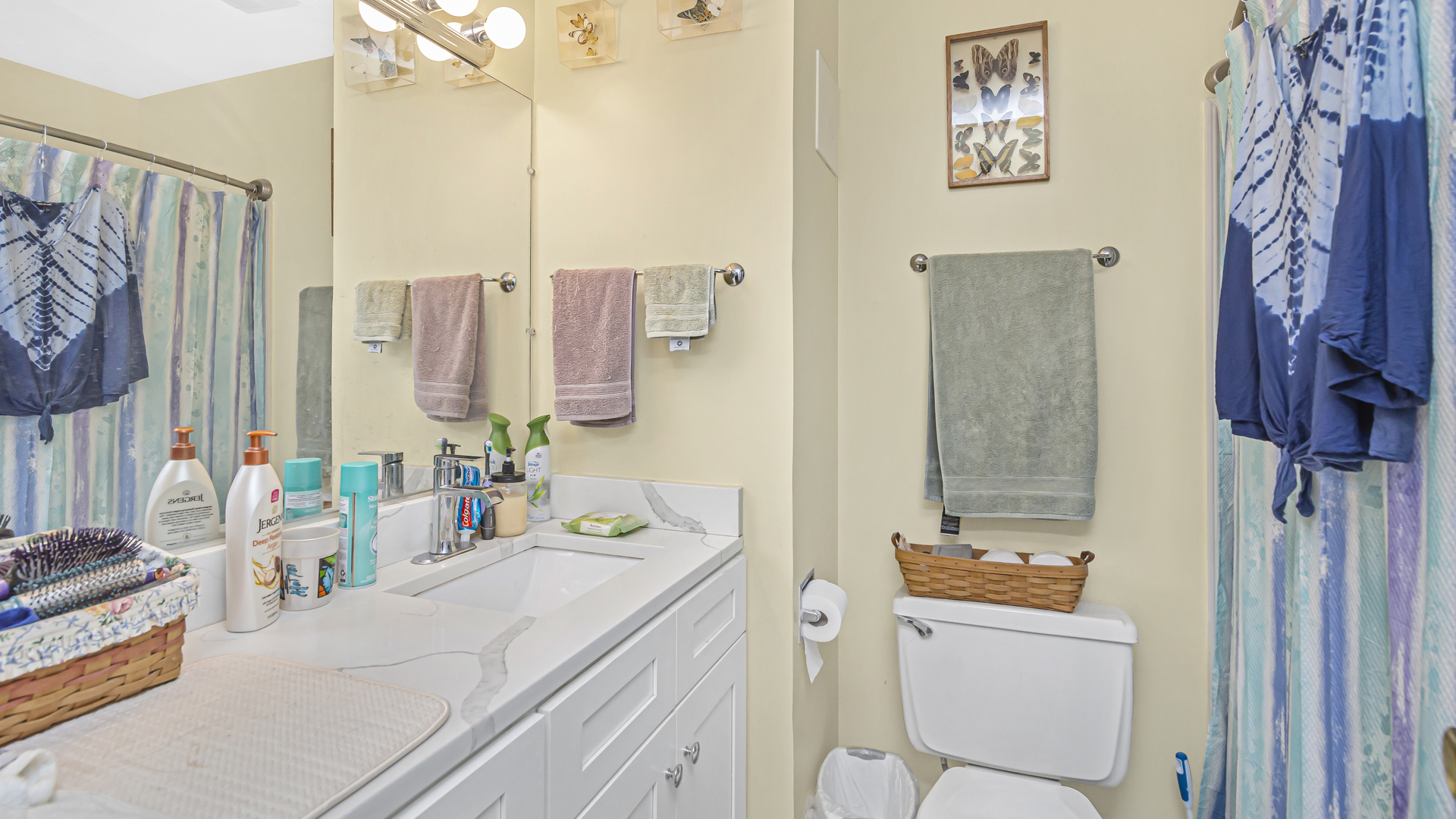 20677 Raphael Avenue Prairie View, IL 60089 - Photo 7 of 15 a bathroom with a sink vanity mirror and a bathtub