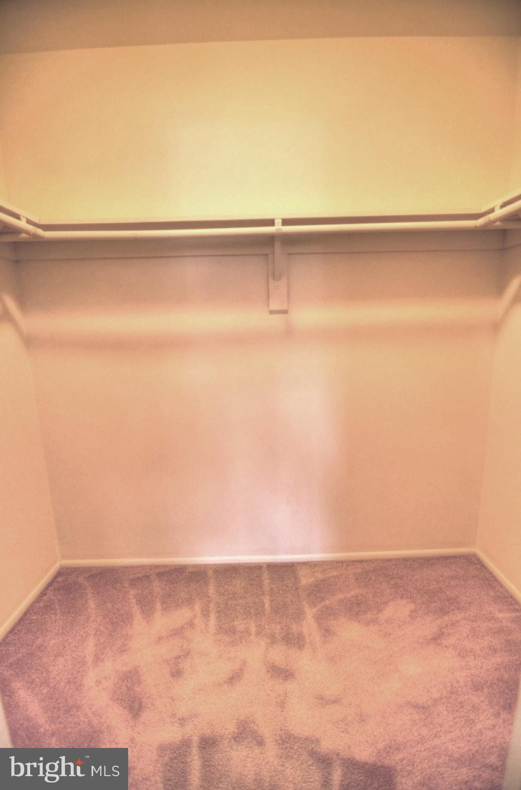 2072 Royal Fern Court, Unit 1B Reston, VA 20191 - Photo 26 of 37 Bedroom 1 - Great size walk-in closet