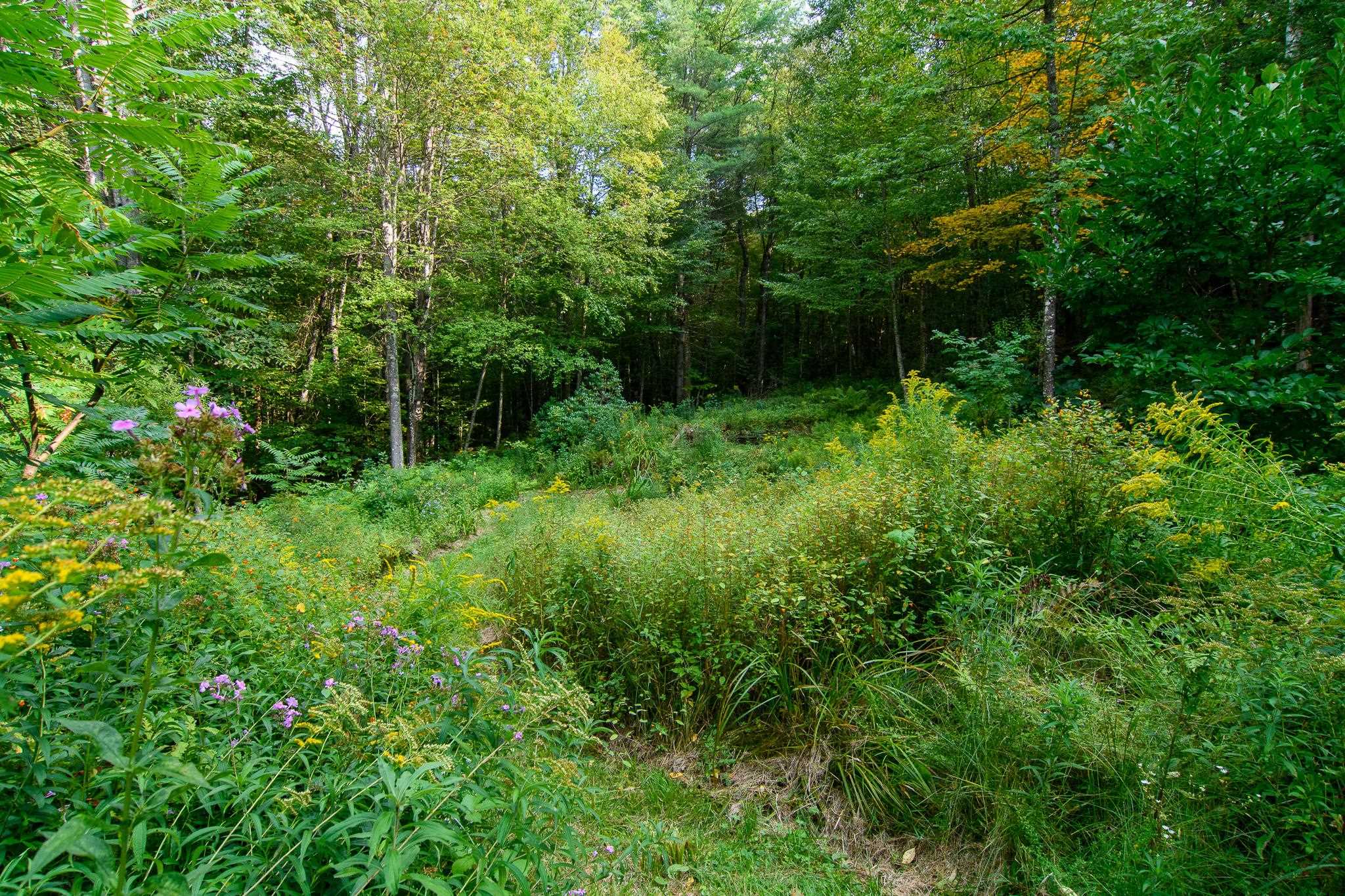 108 South Windmill Hill Putney, VT 05346 - Photo 29 of 33