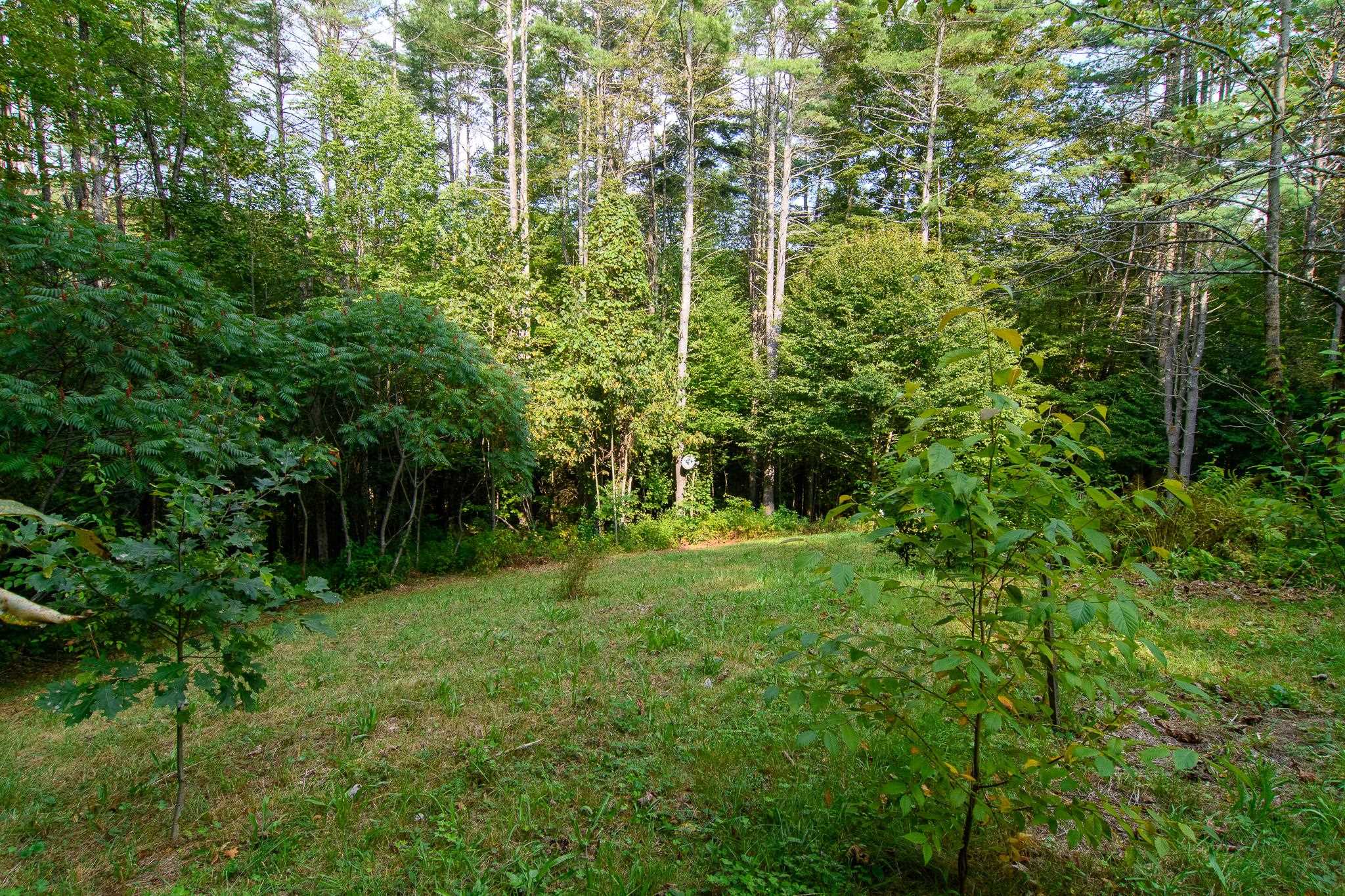 108 South Windmill Hill Putney, VT 05346 - Photo 6 of 33