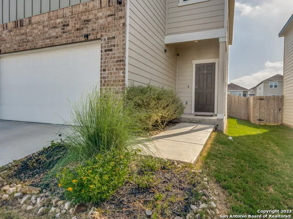 a view of a backyard with plants