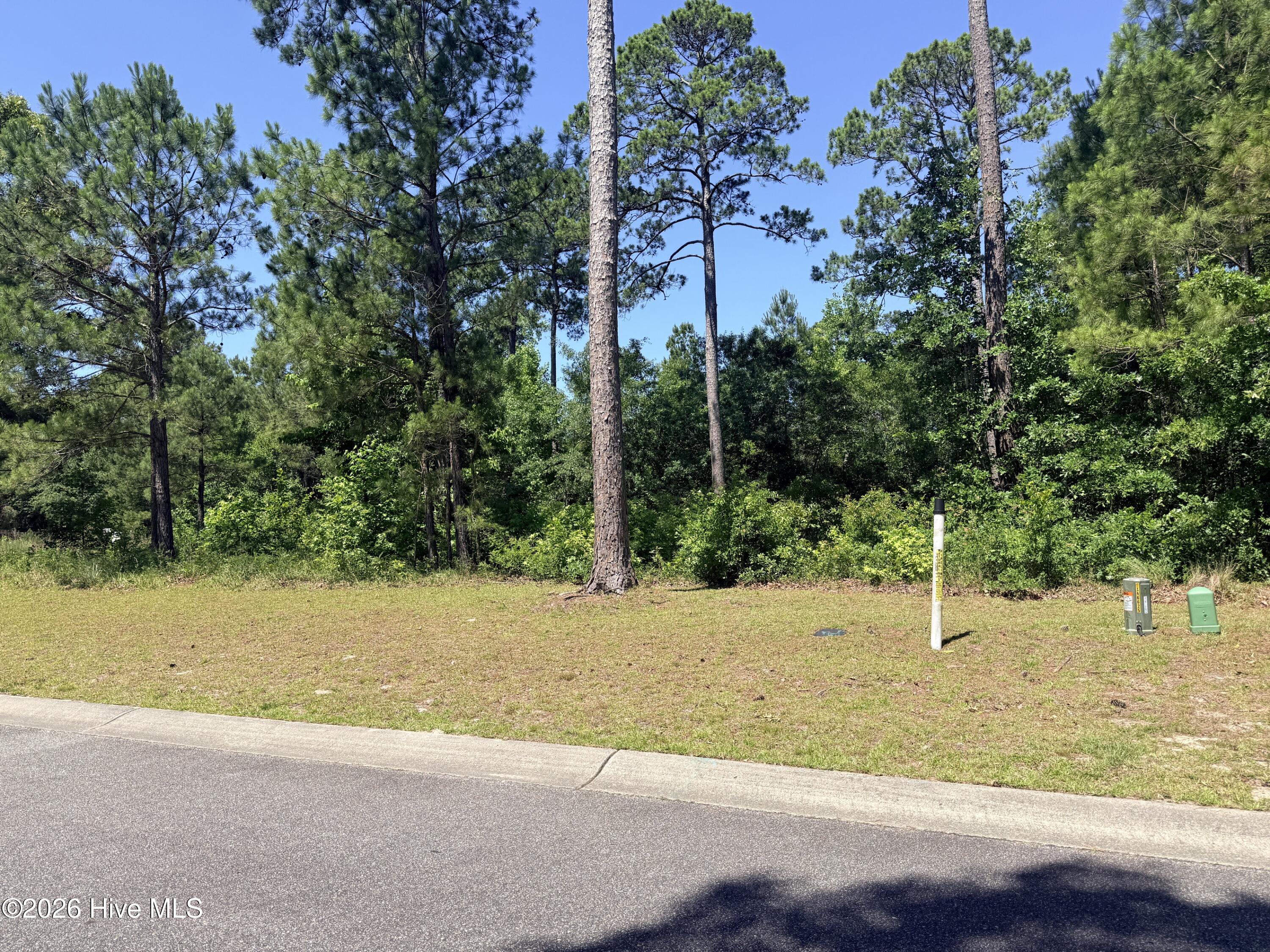 3808 Silver Melon Road Northeast Leland, NC 28451 - Photo 1 of 37