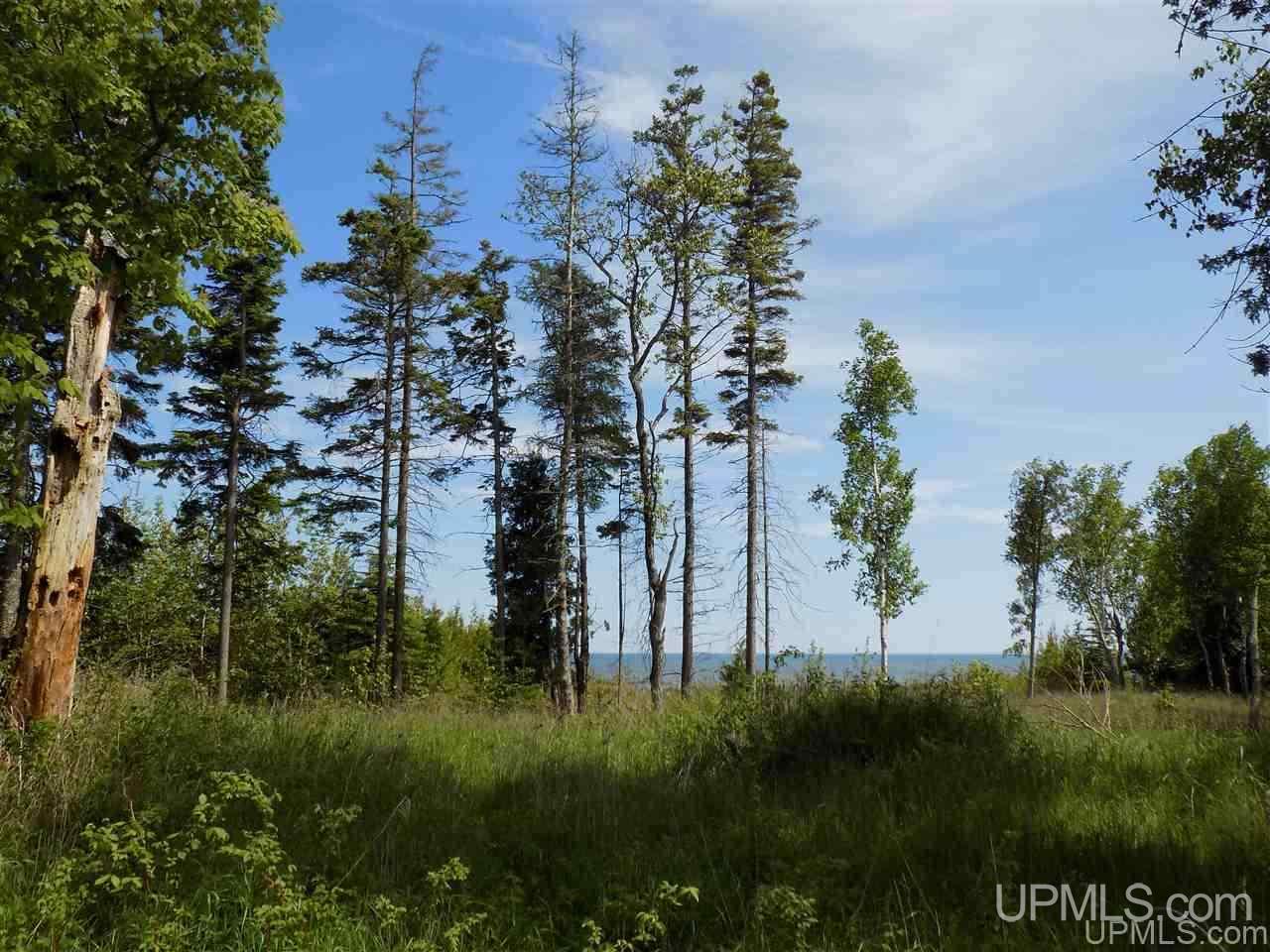 Tbd Miller Point Road Manistique, MI 49854 - Photo 6 of 18