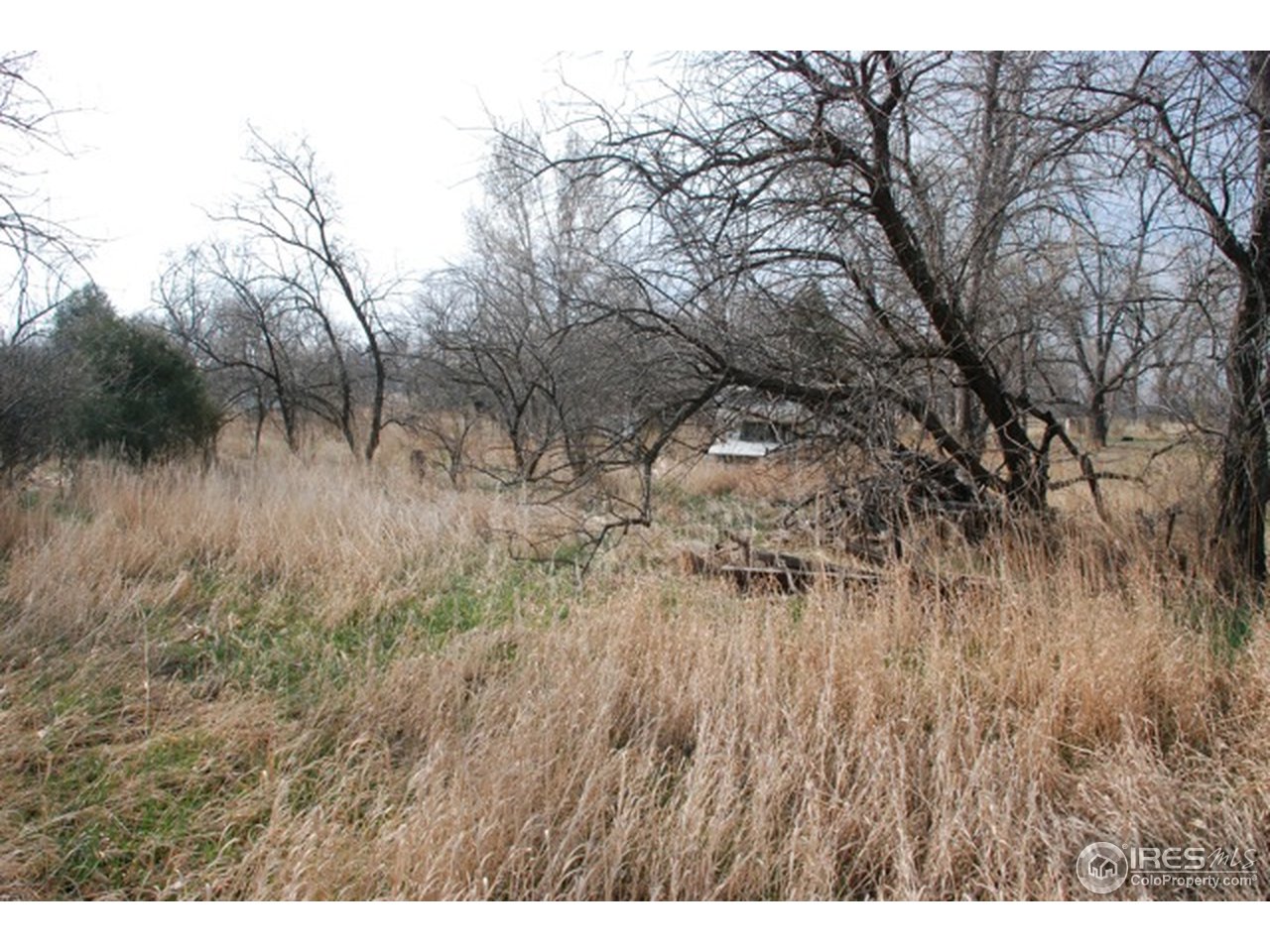 0 Terry Lake Road Fort Collins, CO 80524 - Photo 23 of 25 Gallery Image 23