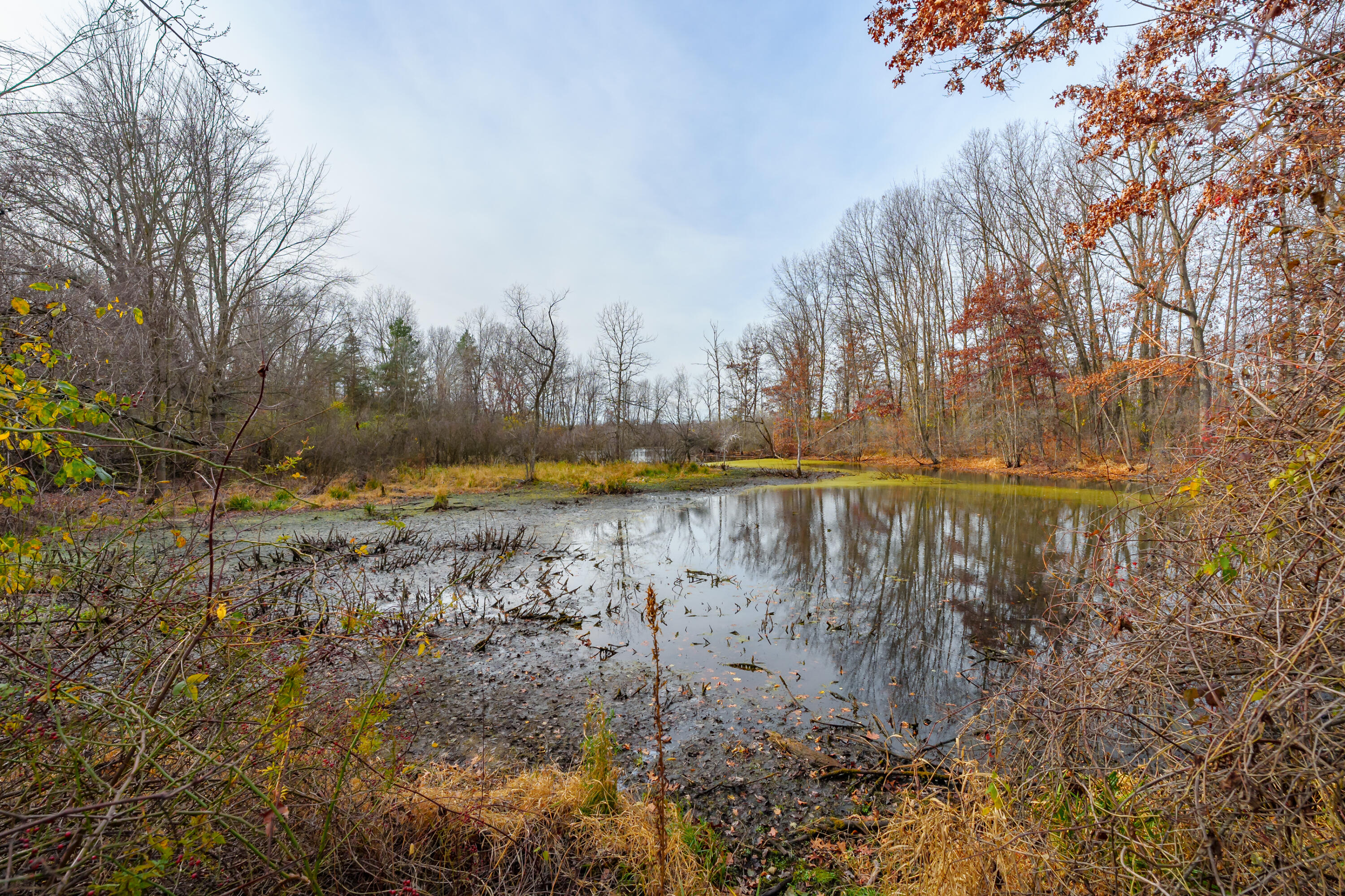 11370 Calender Road Battle Creek, MI 49014 - Photo 49 of 64 Calendar_Rd_11370_BattleCreek_49014-51