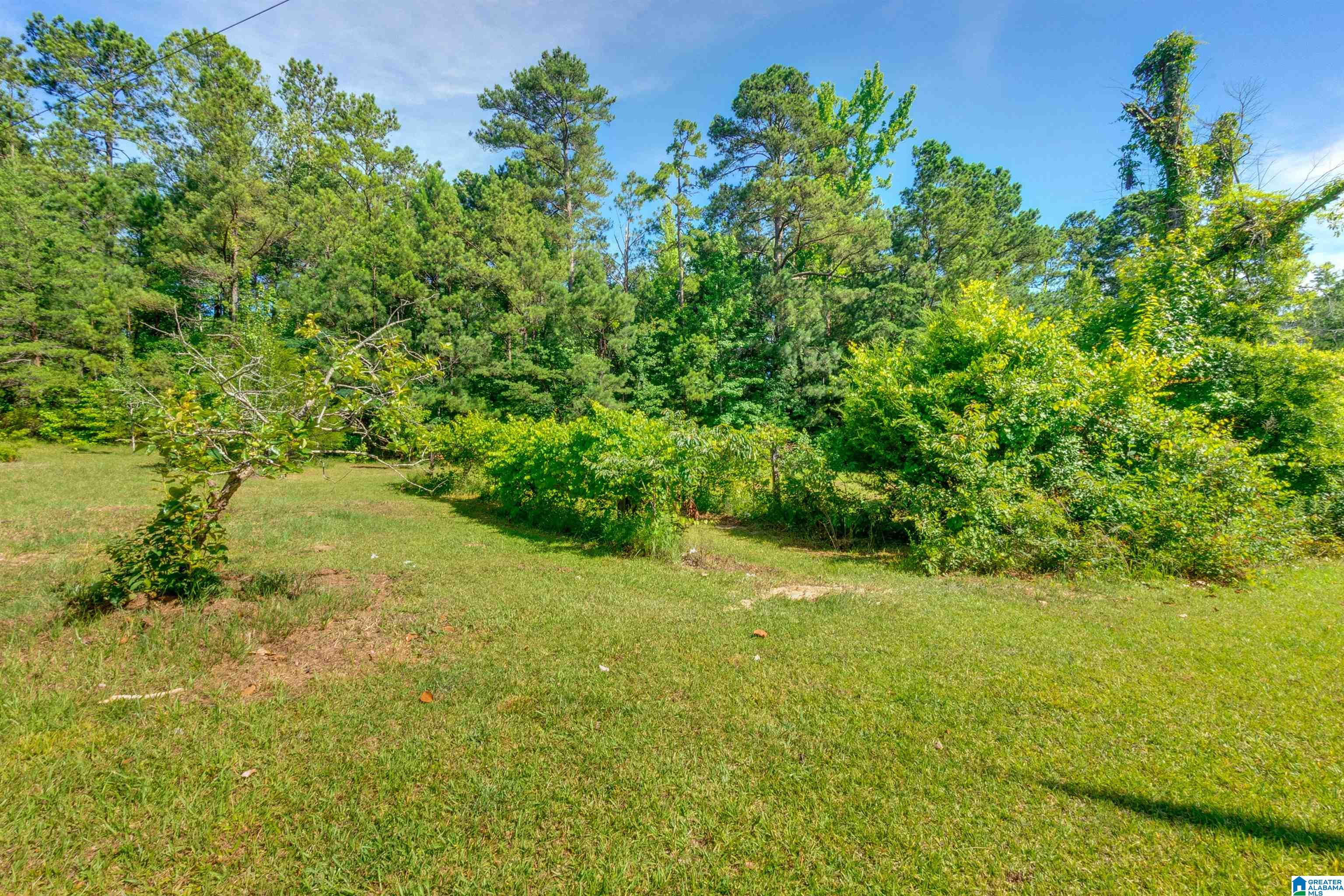 310 County Road 249 Clanton, AL 35046 - Photo 47 of 85